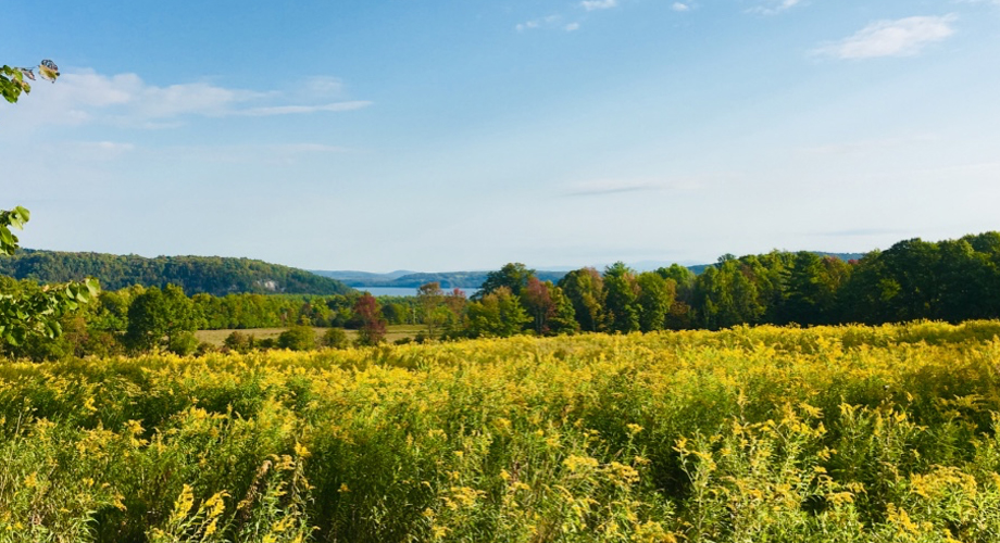 Farmland Above Lake Champlain